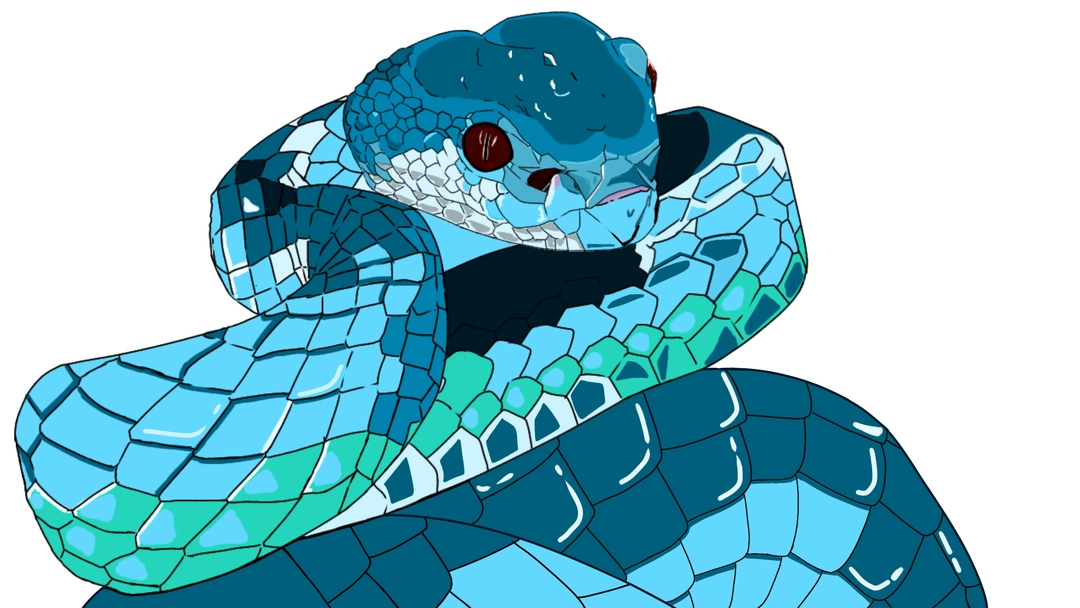 푸멜리스의 작품