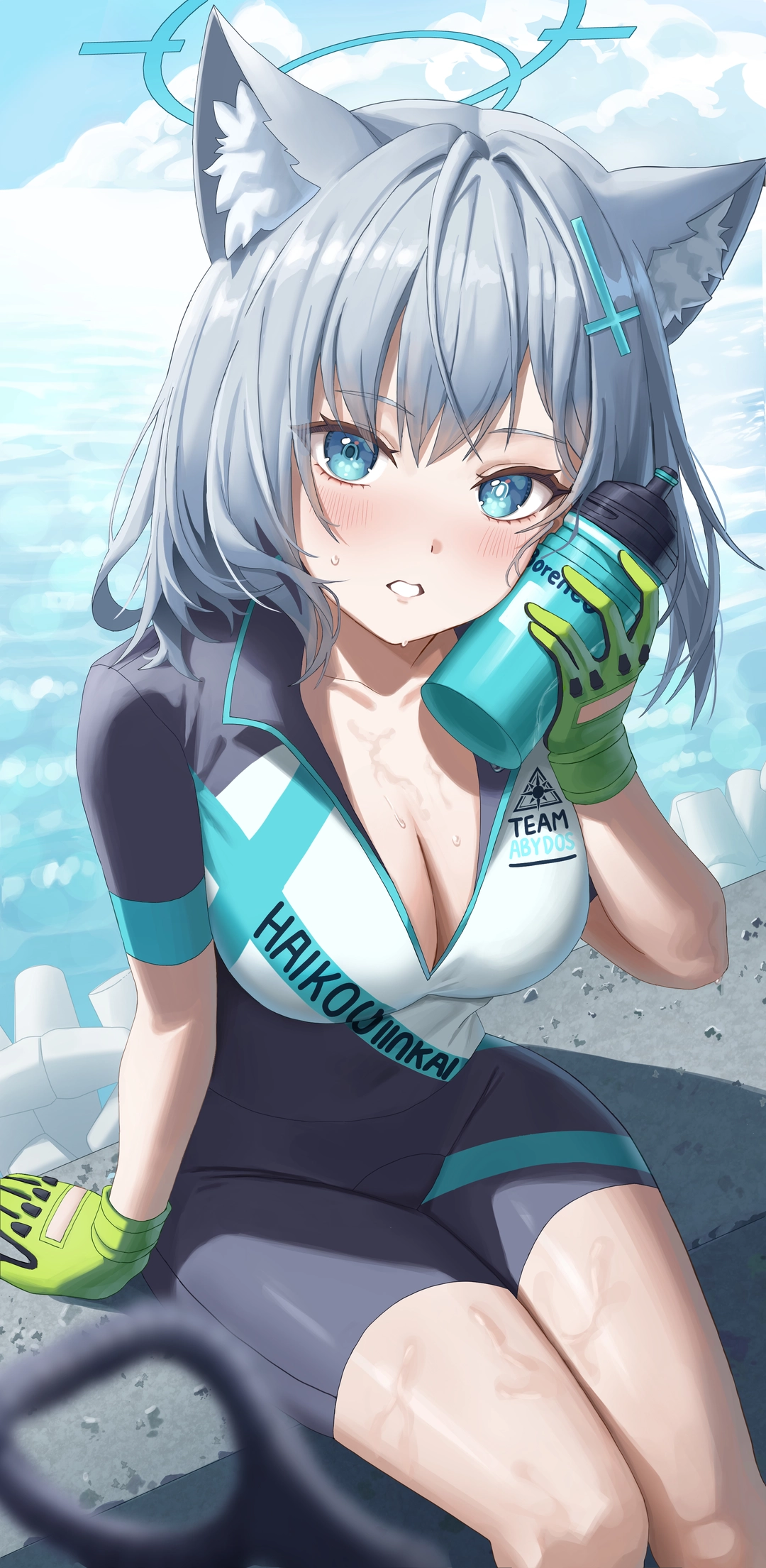 모미치(MoMiCHi)의 작품