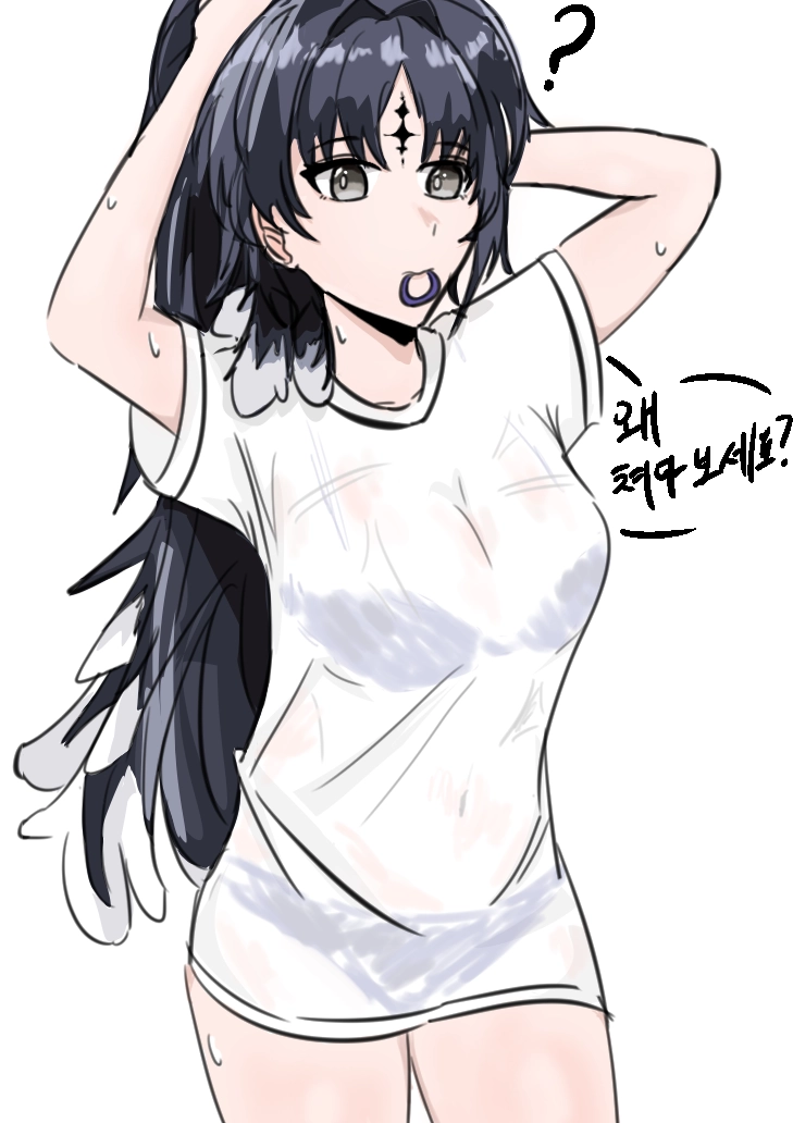 양의 작품