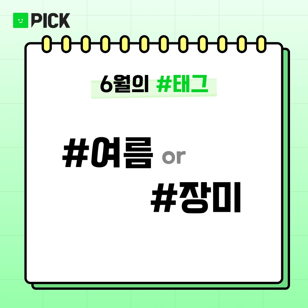 숄더PD의 작품