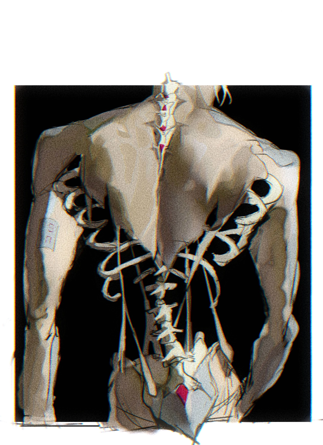 상치의 작품