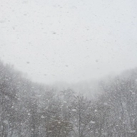 작가 프로필 이미지