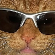 작가 프로필 이미지