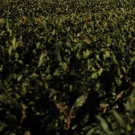 작가 프로필 이미지