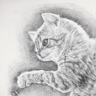 작가 프로필 이미지